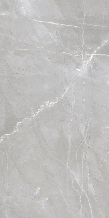 Luxury Amani Grey Polished 12 x 24